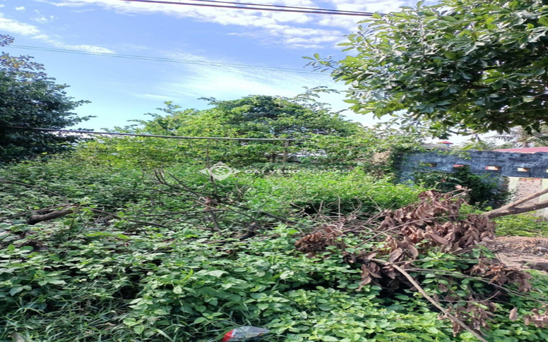 image slide